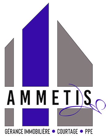 AMMETIS - Immobilier, Bigler